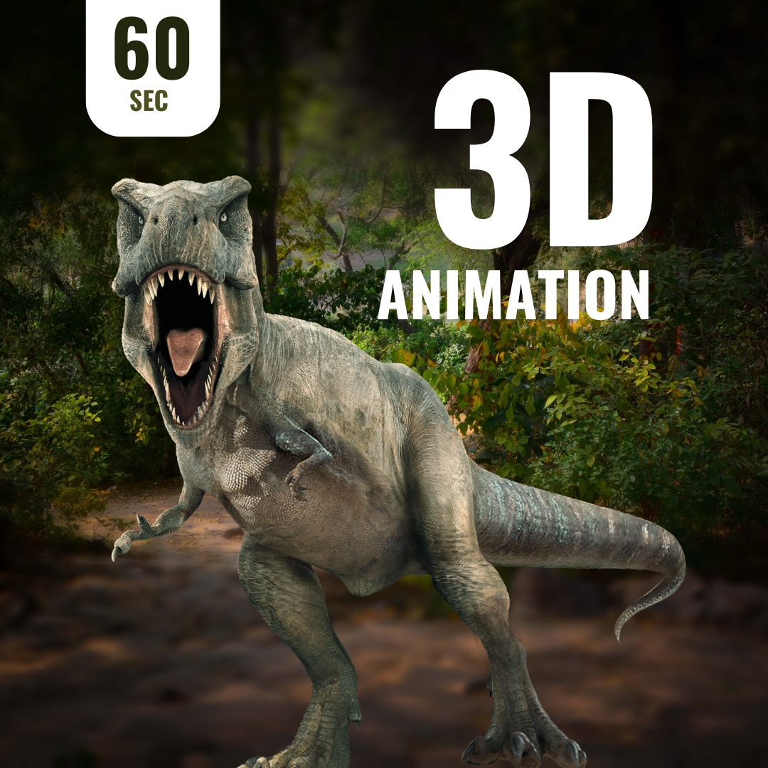 3D Animation (60sec)